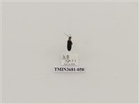 藏品(鞘翅目(1))的圖片